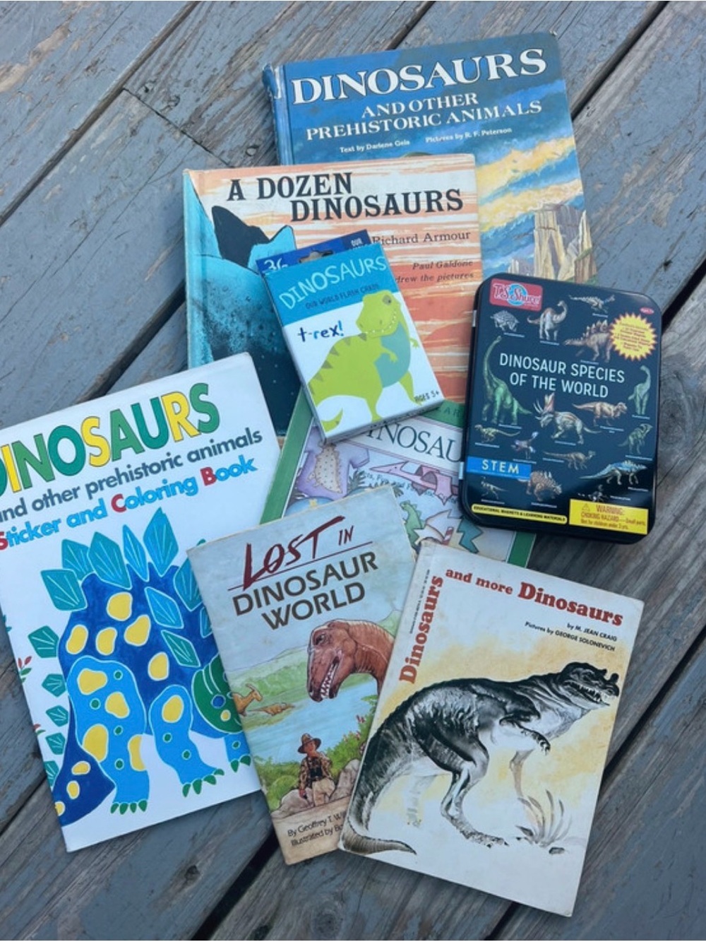 Children's Dinosaur Book Set bundle books, flash cards & tile magnets